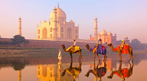 North India Tour